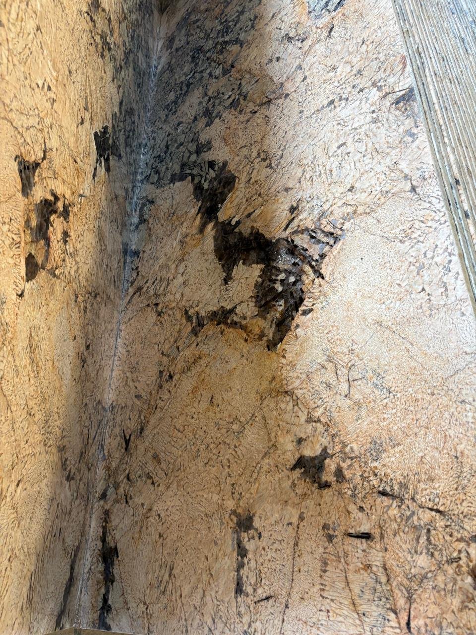 Nahaufnahme von Alaska Granite mit natürlicher hellbrauner und cremefarbener Grundfarbe und dunklen Mineraleinschlüssen
