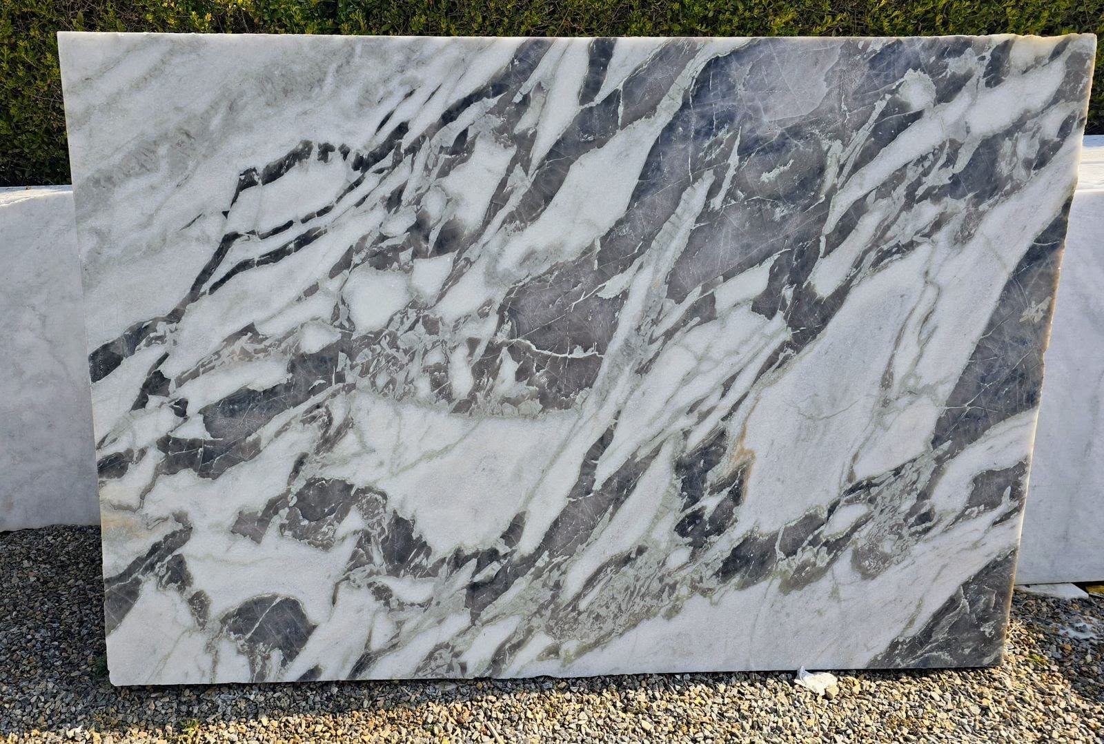 Polished Indian marble slab with dramatic dark veining